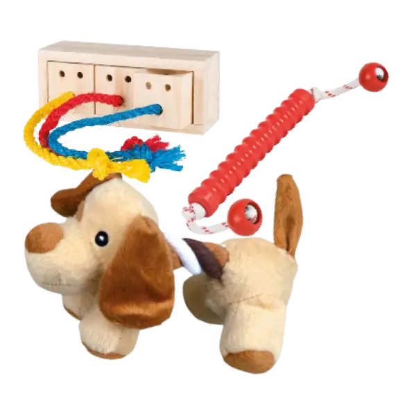 Juguetes variados para perro, incluye peluche, cuerdas, dispensador y mordederas