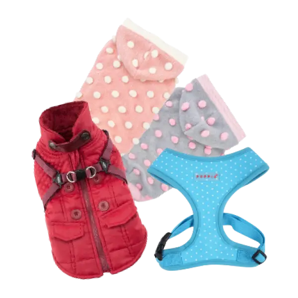 Ropa y arneses para perro con diseños coloridos y cómodos