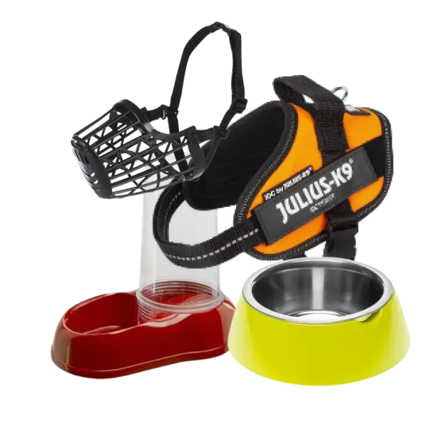 Accesorios para perro, incluye arnés Julius-K9, comederos, bebederos y bozal para perros.
