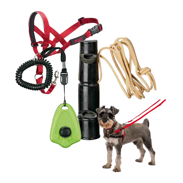 Adiestramiento para Perro Accesorios de adiestramiento para perro, incluye arnés, silbato, clicker y correa de entrenamiento.