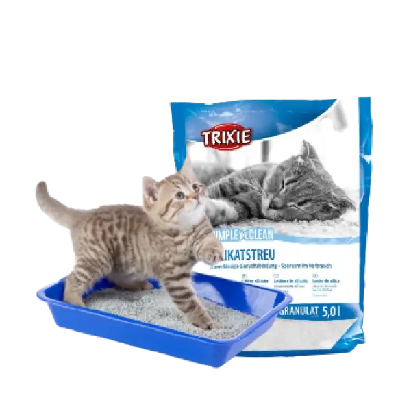 Arena para gato con bandeja sanitaria y gatito usando la caja de arena. Arena absorbente para gatos, lecho sanitario para gato.
