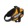 Arnés para perro Julius K9, modelo ergonómico y resistente en color naranja, ideal para paseos seguros.