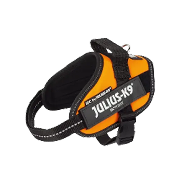 Arnés para perro Julius K9, modelo ergonómico y resistente en color naranja, ideal para paseos seguros.