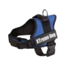 Arnés Xtreme Dog para perro, resistente y ajustable, ideal para paseos y actividades al aire libre.