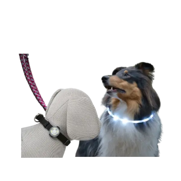 Collares y arneses luminosos para perro, accesorios con luz LED para paseos nocturnos seguros.