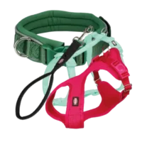 Arneses, collares y correas para perro, accesorios de paseo seguros y cómodos para perros de todos los tamaños.