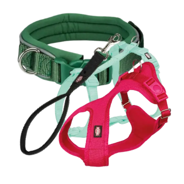 Arneses, collares y correas para perro, accesorios de paseo seguros y cómodos para perros de todos los tamaños.