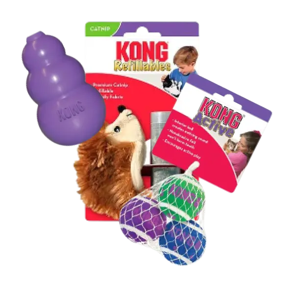 Juguetes para gato KONG, peluches con catnip, pelotas y juguetes interactivos para gatos activos.