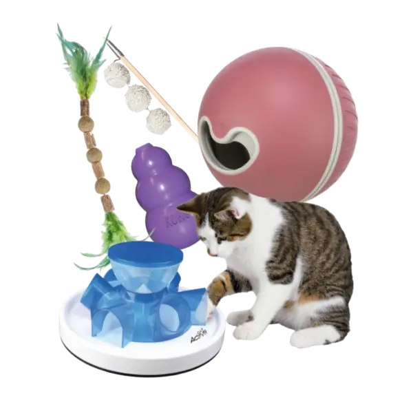 Juguetes para gato, juegos interactivos, pelotas, rascadores y accesorios para gatos curiosos y activos.
