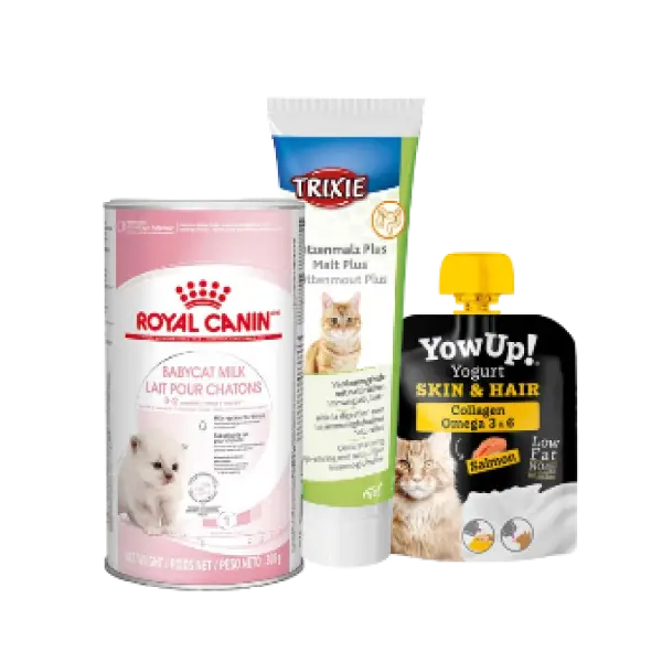 Suplementos para gato Suplementos para gato: leche maternizada, malta y complemento nutricional para piel y pelo. Vitaminas y apoyo alimenticio para gatos.