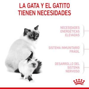 Royal Canin Mother & Babycat Pienso Para Gatitos Y Gatas Gestantes