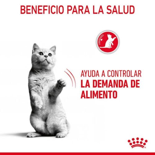 Royal Canin Appetite Control Care Piensoºº