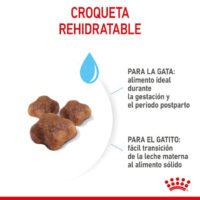 Royal Canin Mother & Babycat Pienso Para Gatitos Y Gatas Gestantes