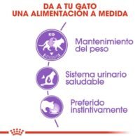 Royal Canin Sterilised Comida Húmeda En Gelatina Para Gatos Esterilizados