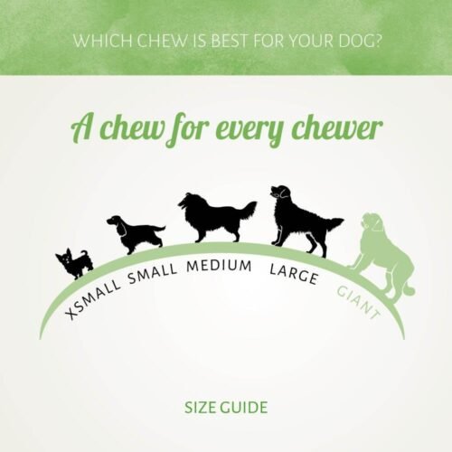 Huesito de Calcio con Pollo