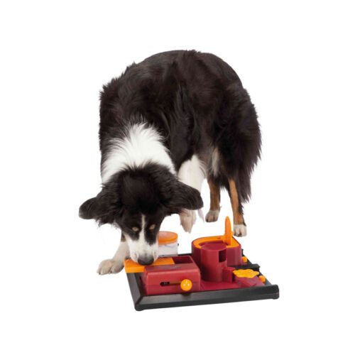 Perro-interactuando-con-el-juego-Trixie-Poker-Box-2944033file.jpeg Trixie Juego Interactivo Poker Box 2