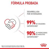 Royal Canin Mother & Babycat Pienso Para Gatitos Y Gatas Gestantes