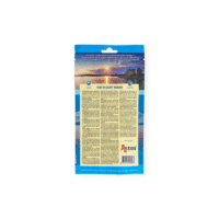 Tiras de Salmón 100g
