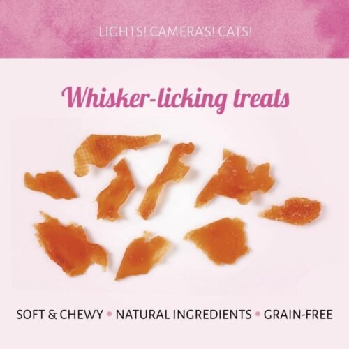 Cat Treats Trocitos de Pollo 50g