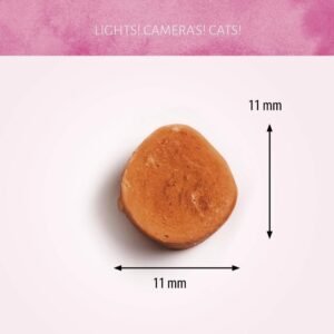 Cat Treats Camarones al Vapor 50g