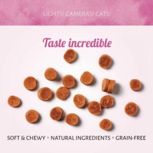 Cat Treats Camarones al Vapor 50g