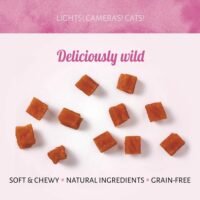 Cat Treats Cubos de Salmón 50g