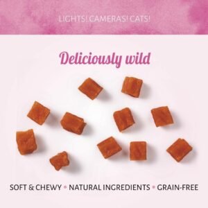 Cat Treats Cubos de Salmón 50g