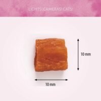 Cat Treats Cubos de Salmón 50g
