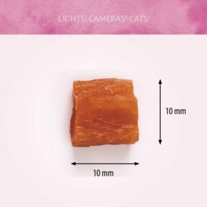 Cat Treats Cubos de Salmón 50g