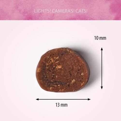 Cat Treats Dados de Ternera 50g