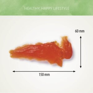 Filete Tierno de Pollo 100g