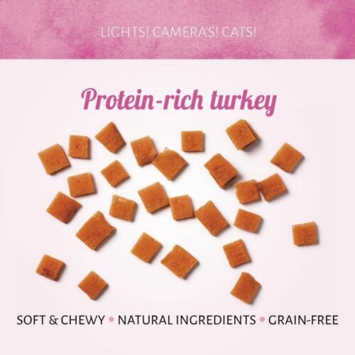 Cat Treats Torcitos de Pavo Asado 50g