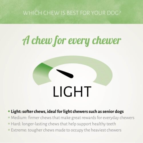 Tiras Tiernas de Pollo