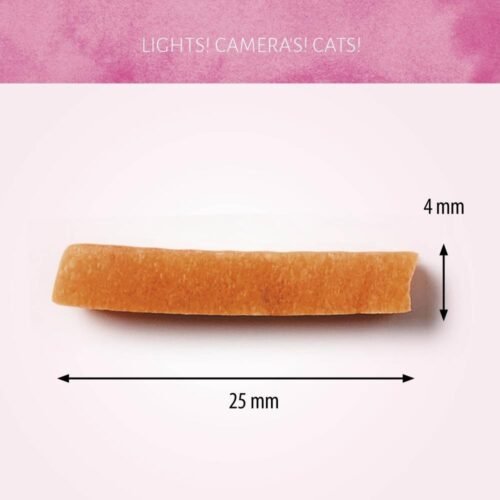 Cat Treats Tiras de Pescado Blanco 50g