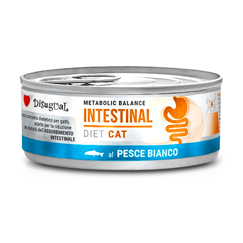 Disugual Metabolic Balance Cat Intestinal Pesce (85g)
