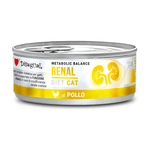 Disugual Comida Húmeda Renal De Polloºº