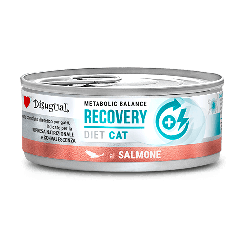 Disugual Metabolic Balance Recovery Salmón para gatos