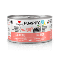 Disugual Salmón Puppy