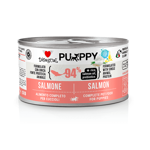 Disugual Salmón Puppy para cachorros