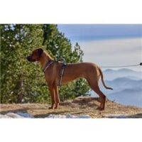 Farm Arnés Secur Fit De Nylon De Triple Gancho Reflectante De Lujo Para Perro Vida De Perro