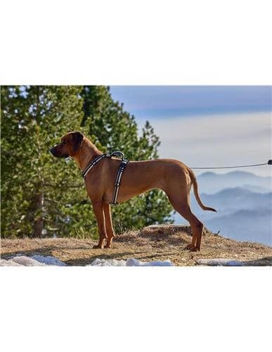 Farm Arnés Secur Fit De Nylon De Triple Gancho Reflectante De Lujo Para Perro Vida De Perro