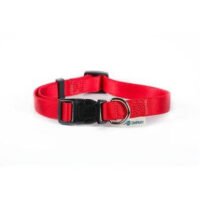 Farm Company Collar Regulable En Nylon Para Perro