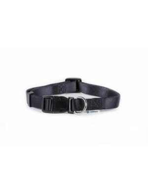Farm Company Collar Regulable En Nylon Para Perro