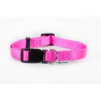 Farm Company Collar Regulable En Nylon Para Perro