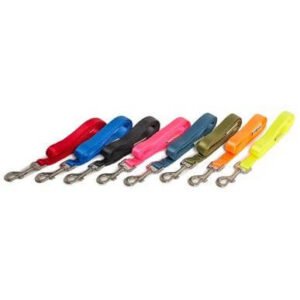 Farm Correa De Nylon Para Perro Vida De Perro