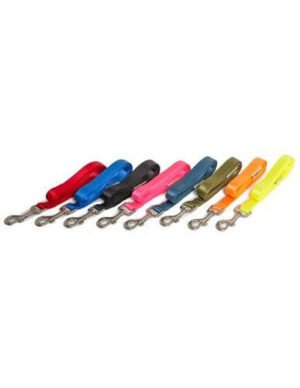 Farm Correa De Nylon Para Perro Vida De Perro