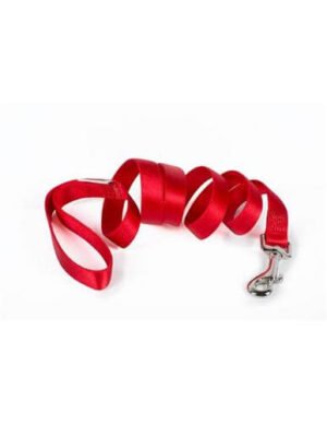 Farm Correa De Nylon Para Perro Vida De Perro