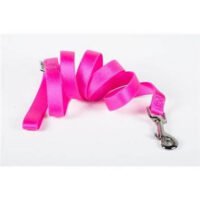 Farm Correa De Nylon Para Perro Vida De Perro