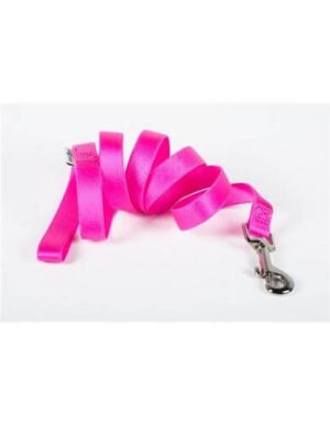 Farm Correa De Nylon Para Perro Vida De Perro