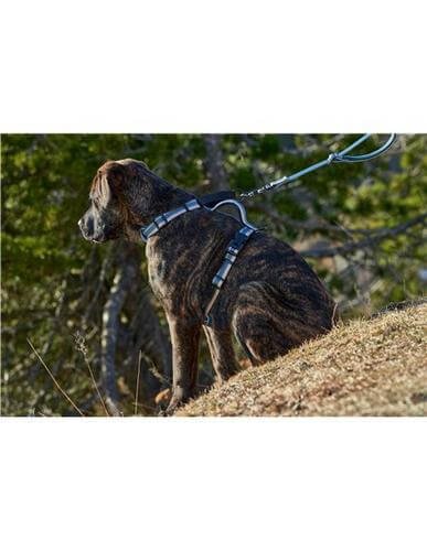Farm Correa De Nylon Multifuncional Reflect Para Perro